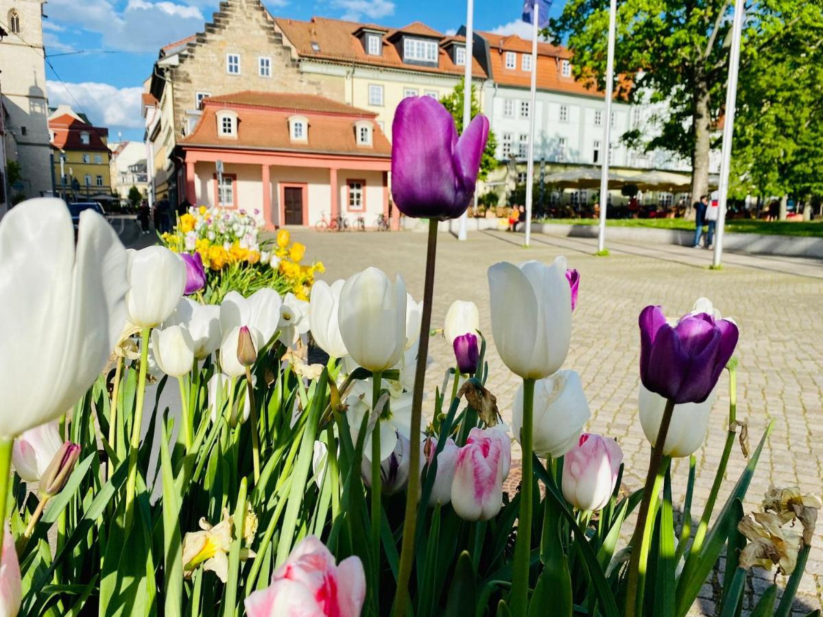 Baerliner Hotel Erfurt